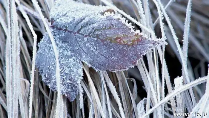 Consultation — a warning about the intensity of meteorological phenomena in the territory of the Republic of Tatarstan