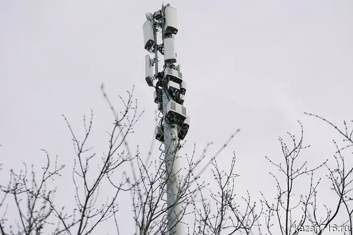 В Нижнекамске задержали мошенника из Башкортостана, у которого было 550 сим-карт.