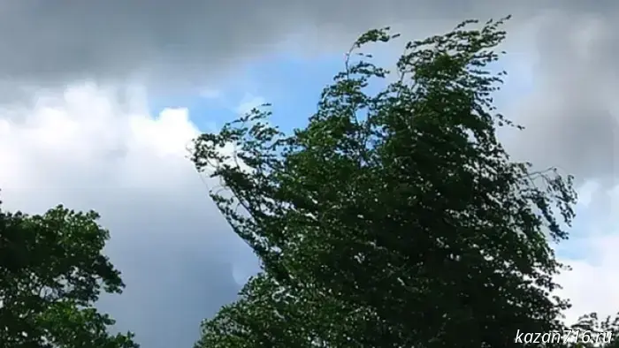 Consultation – a warning about the intensity of meteorological phenomena in the Republic of Tatarstan.
