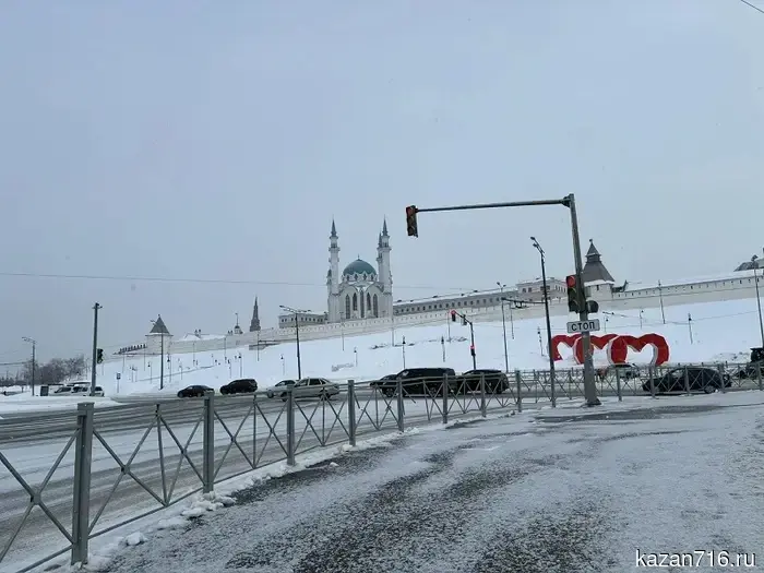 В Татарстане стартовала профилактика «мышиной лихорадки».