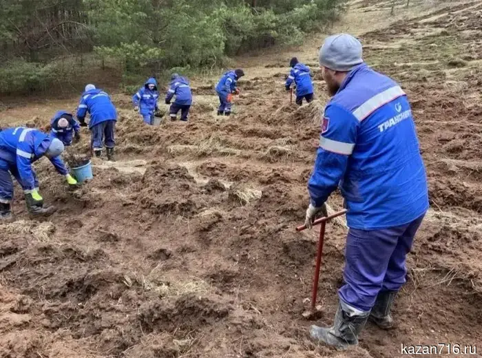 Employees of Transneft - Prikamye participated in environmental actions.