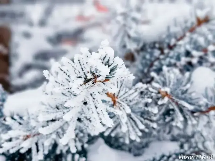 31 декабря: народные суеверия и обычаи последнего дня года