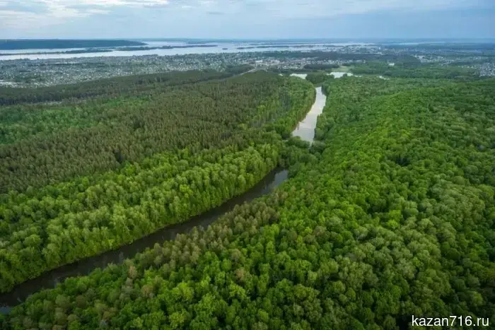 В Татарстане с 20 апреля по 20 июня начнётся весеннее мероприятие «Чистые леса».
