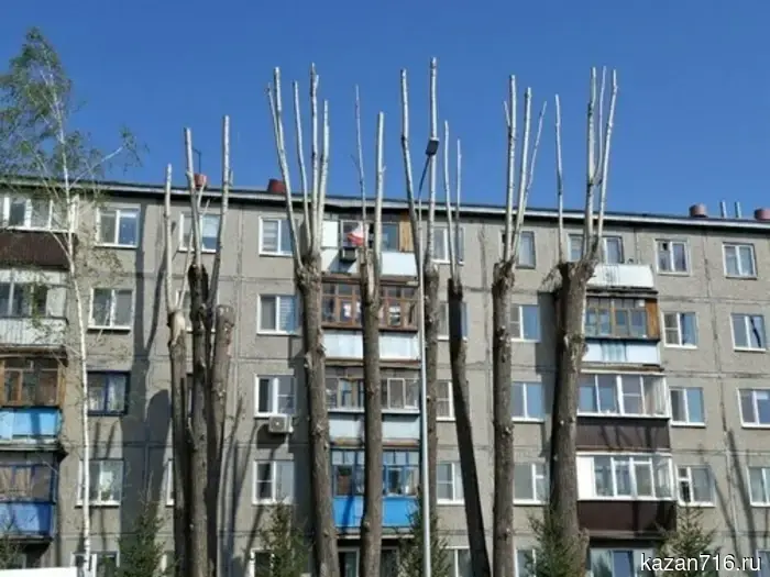Хрущевки рядом с театром Камала стали выглядеть лучше. По вечерам будут включать освещение.