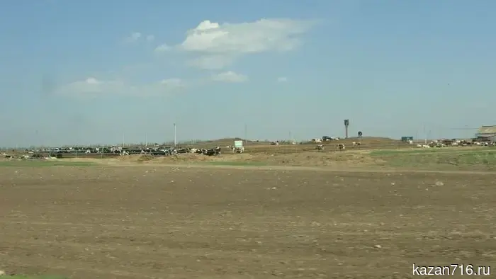 В Татарстане прогнозируют туман, и МЧС рекомендует проявлять повышенную осторожность на дорогах.