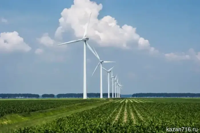 A wind farm is planned to be built in the Buinsky district.