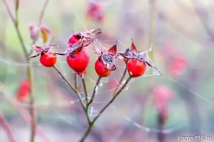 Folk omens, holidays and traditions September 20, 2025