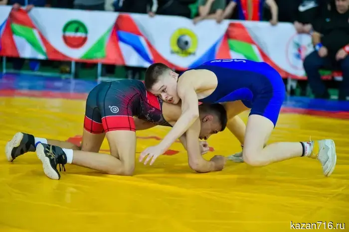 A nationwide freestyle wrestling tournament "M-7 OPEN14" will be held in Nizhnekamsk.