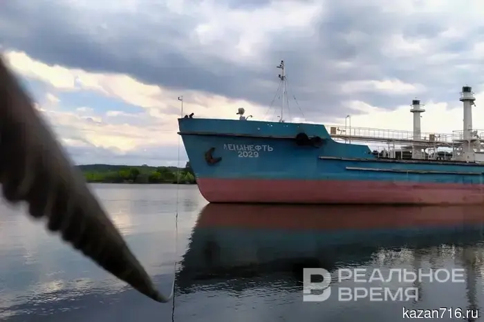 The merchant vessel "Yaniina" sank in the Black Sea.