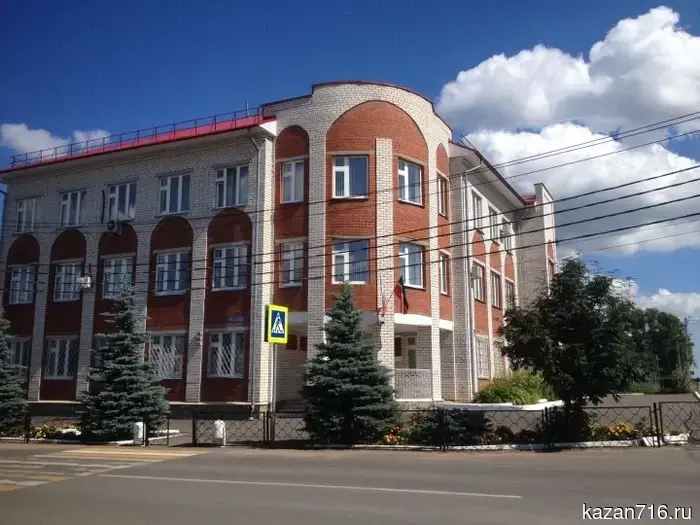 Житель Спасского района подвергся штрафу за алкогольный инцидент в суде.