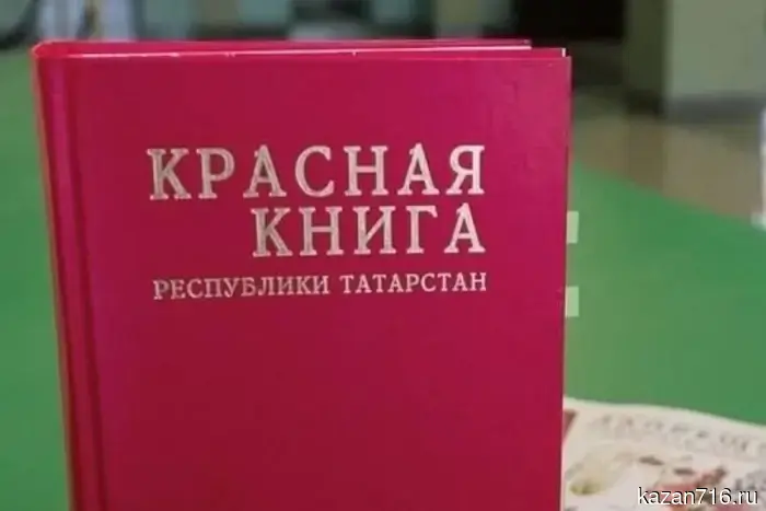 Сохраняем и умножаем - в Татарстане готовят новое издание Красной книги.