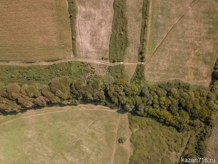 The Rosreestr has launched a service for self-checking land plots.