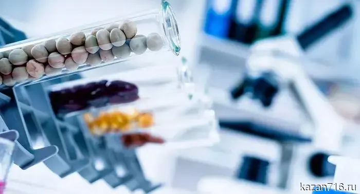 In Tatarstan, the quality of exported legumes has been confirmed.