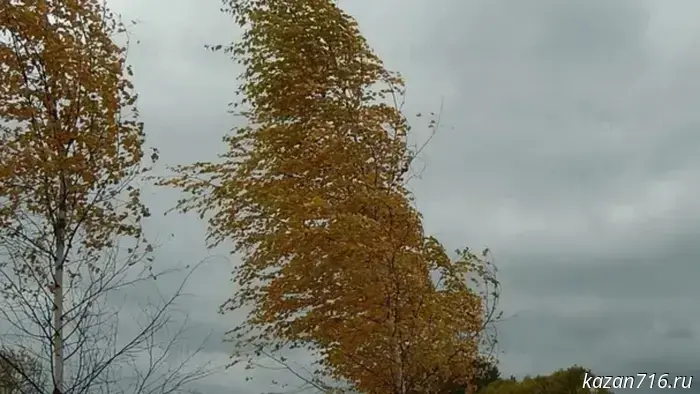 Emergency warning for November 5, 2025.