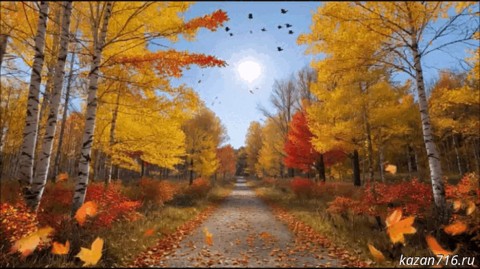 We'll tell you what the weather has in store for the next 24 hours.