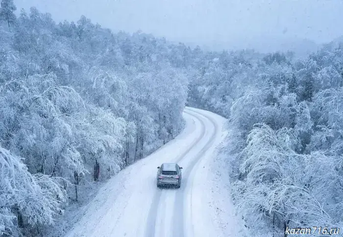 Знаки зодиака, которые занимают ведущие позиции в рейтинге аварийности по ОСАГО.