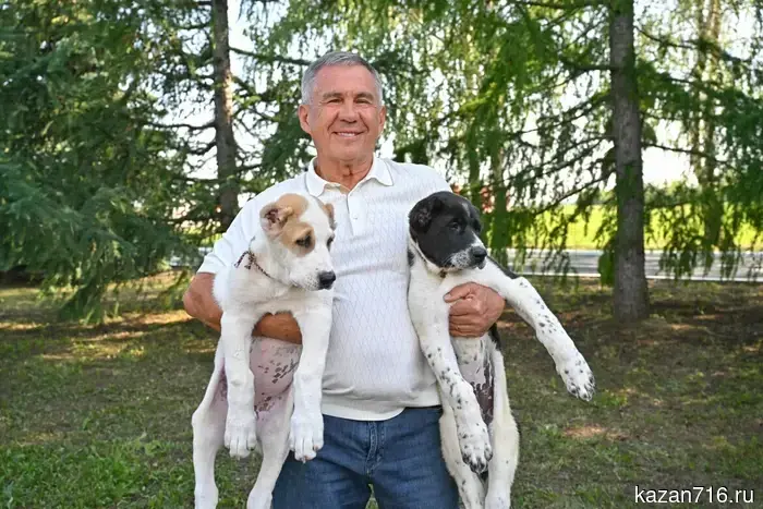 Minnikhanov received two Alabai puppies as a gift from the leader of Turkmenistan.