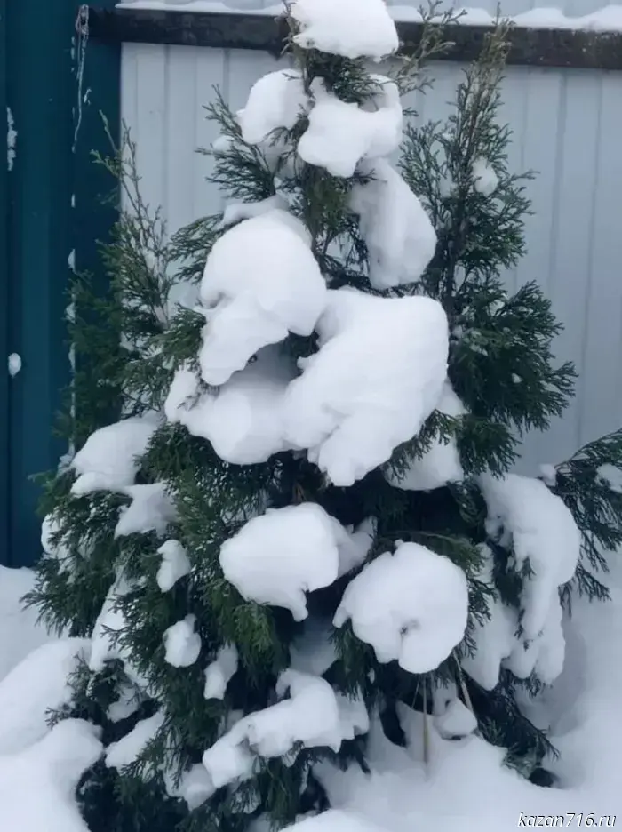 Прогноз погоды на завтрашний день, 12 января.