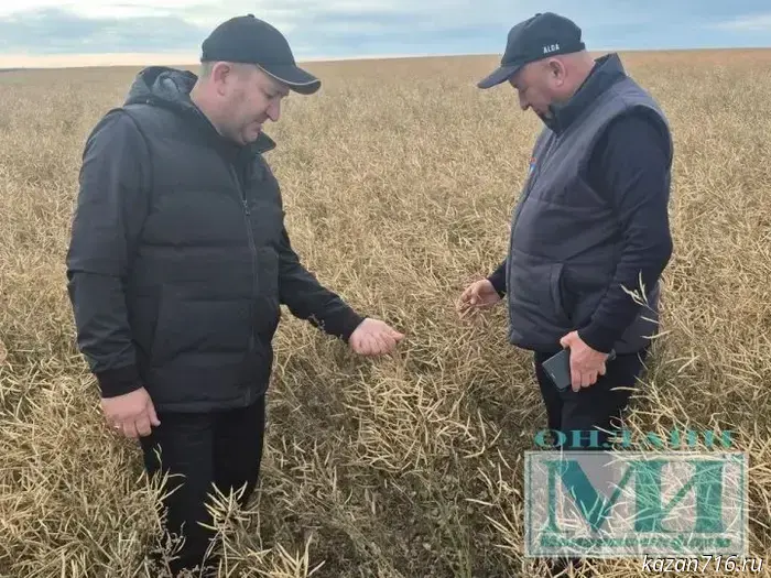 Photo report from the autumn fields of Menzelinsk.