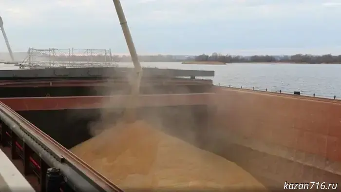 Tatarstan increases grain exports: a new shipment of wheat is bound for Vietnam.