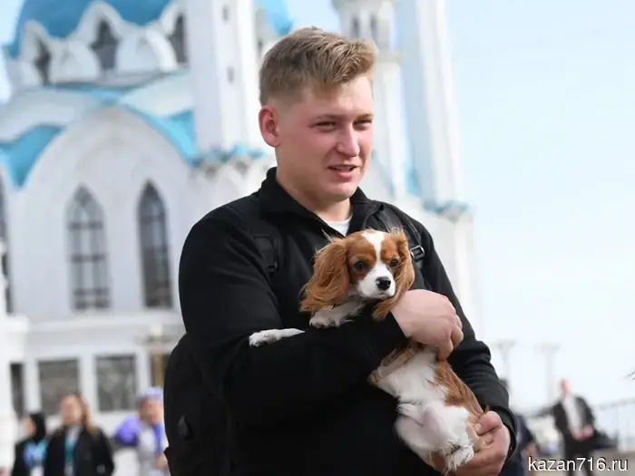 In Kazan, during the spring season, 2,044 pets were vaccinated against rabies during off-site vaccinations.