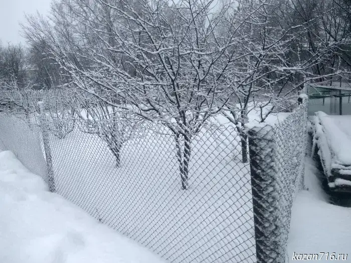 С 1 марта 2025 года вступят в силу новые правила освоения земельных участков — что необходимо знать владельцам.