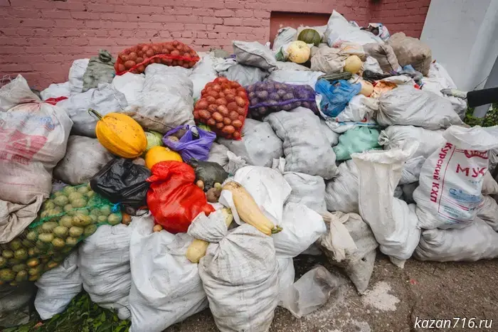 The Zakat Charitable Foundation supplied over 150 families with more than 4 tons of gushra.