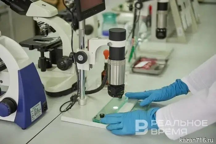 Они проснулись: в Татарстане зарегистрировали первые семь укусов клещей.