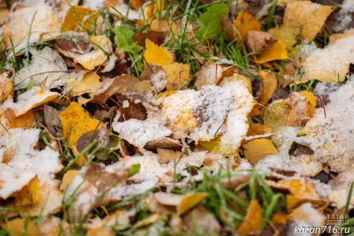 Air temperature in the Republic of Tatarstan in early December will be 8–10 degrees above normal, a meteorologist said.