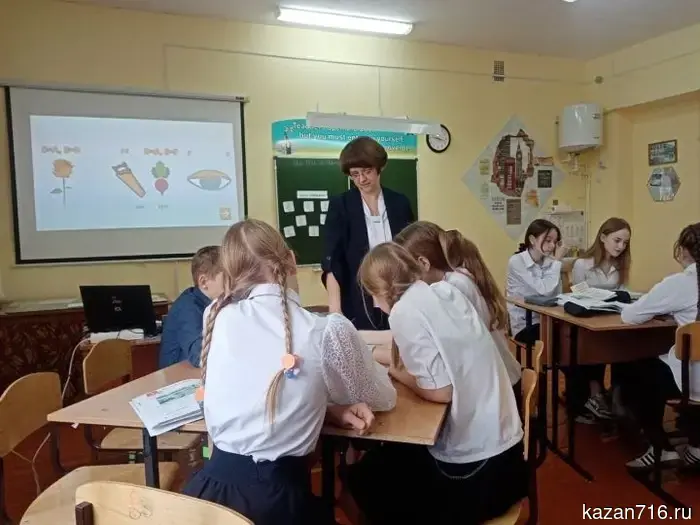 Уроки иностранного языка для школьников с пятого по седьмой класс будут сокращены.