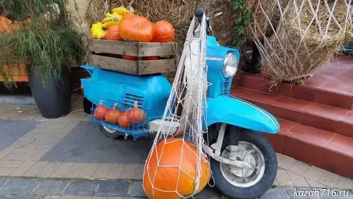 Folk omens and holidays on November 2, 2025.