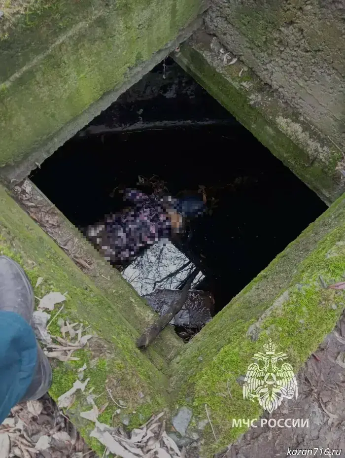 В поселке Васильево в колодце было обнаружено тело женщины.