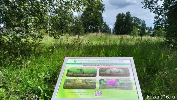 В Татарстане для путешественников созданы пять экотроп.