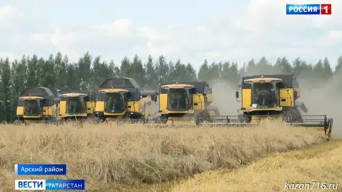 In Tatarstan, another 146,000 hectares of industrial crops still need to be harvested.