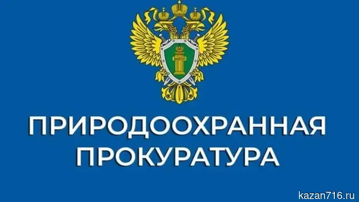 Starting from September 1, the form of the electronic accompanying document for timber is changing.