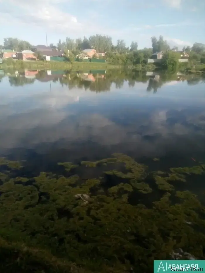Weather forecast for the regions of Tatarstan on June 2: rain, thunderstorms, and up to +21 degrees.