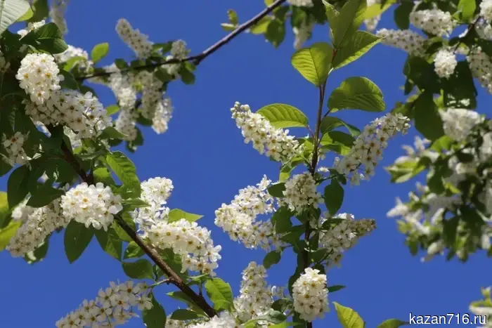 How we are resting in May 2026