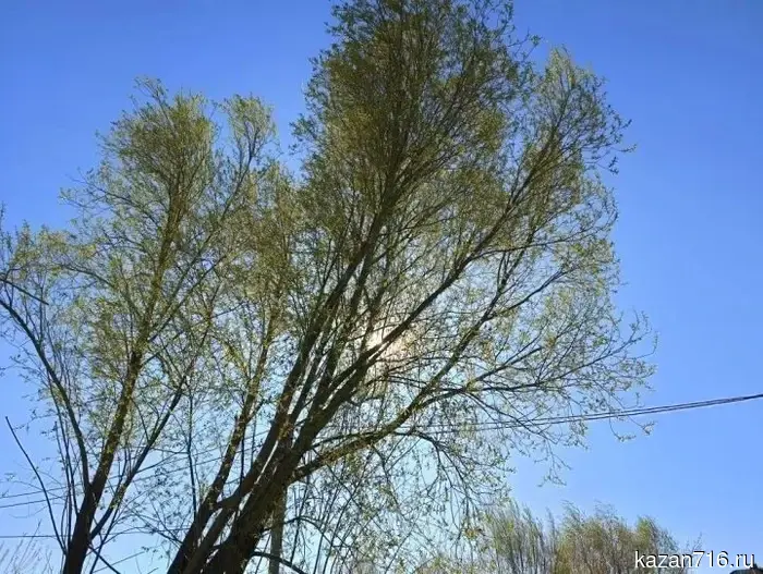 Календарь событий на 30 апреля 2026 года