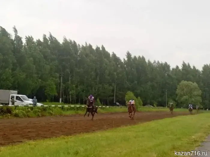 23 horses and 5 ponies: results of the equestrian competitions in Zainsk