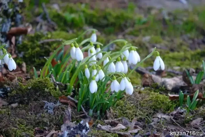 Rain, wind, and warming: what weather awaits Tatarstan this weekend