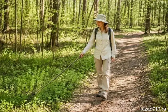 С начала сезона более 270 жителей Татарстана стали жертвами укусов клещей.