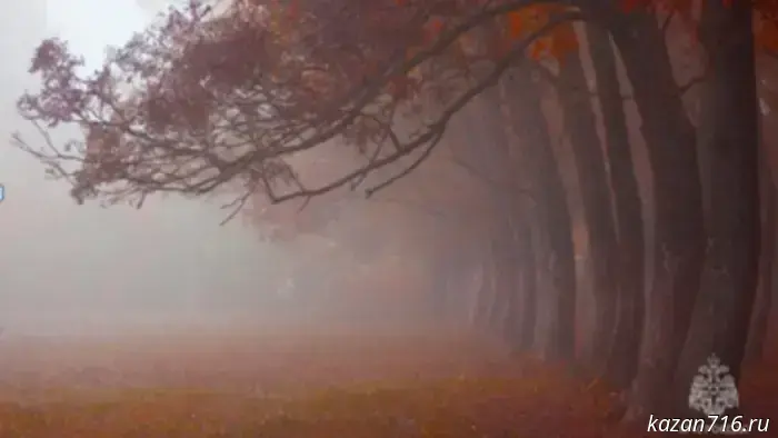 Urgent warning for 23.11.2025