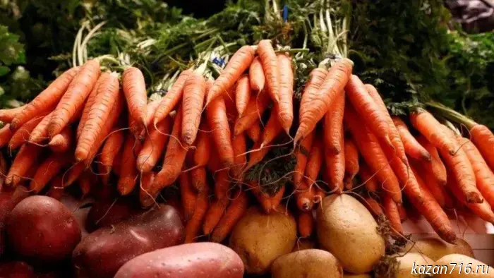 The Ministry of Agriculture and Food of the Republic of Tatarstan announces the possibility of providing subsidies to self‑employed owners of personal subsidiary farms.